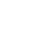 anejo_logo